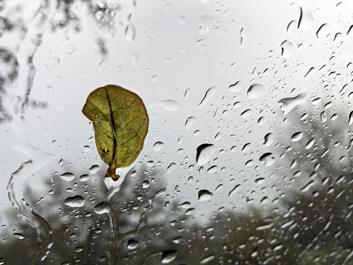 Zen Rial / Getty Images
