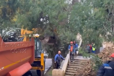 Оползень в Сочи у гостиницы «Приморская»: 20 кубометров грунта
