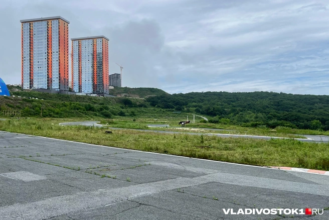 Источник: Елена Буйвол / VLADIVOSTOK1.RU