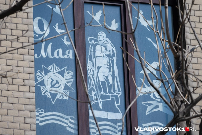 Источник: Елена Буйвол / VLADIVOSTOK1.RU