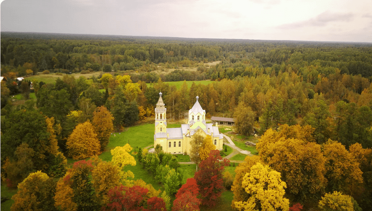 Развеять хандру: 10 экотроп Ленинградской области, по которым стоит прогуляться этой осенью