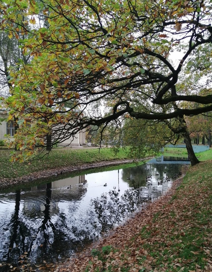 Архитектурные прогулки: Петербург «культурный». Часть вторая