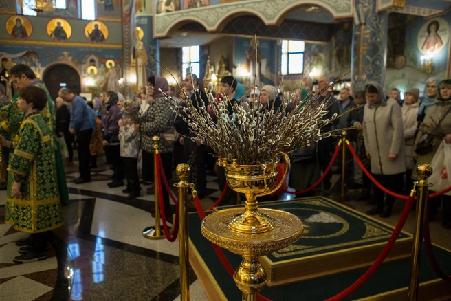 Считается, что освященная верба очищает и отгоняет нечистую силу и приносит удачу | Источник: Свято Троицкий кафедральный собор города Сургута / Вконтакте