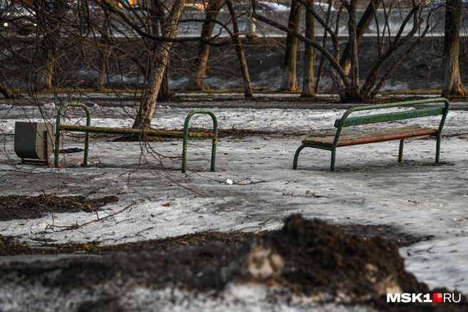 В прошлом году снега было мало | Источник: Артем Устюжанин / MSK1.RU
