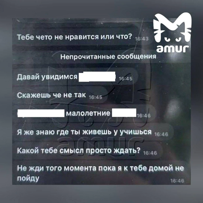 Источник: Amur Mash / T.me