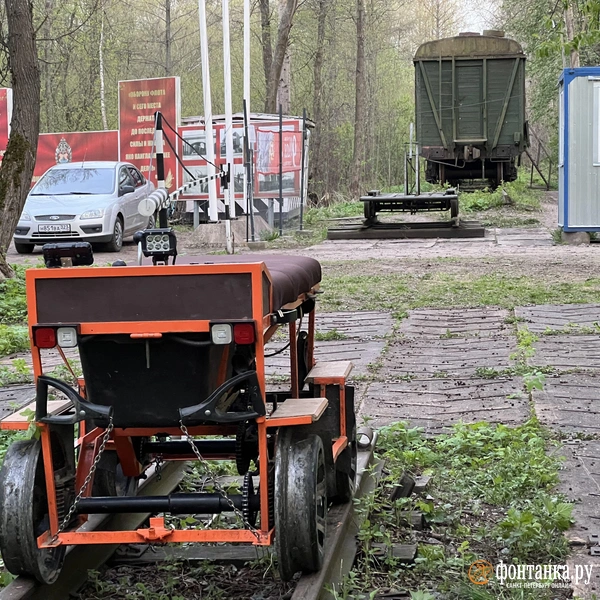 Источник: Предоставлено Максимом Шашковым