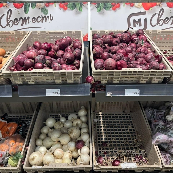 Красный лук | Источник: Дарья Гранкина / 26.RU