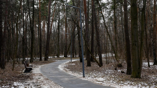 Снегопады, метели и ветер до 23 м/с. Алтайский край в конце марта накроет волна холода | Источник: Артём Устюжанин / MSK1.RU