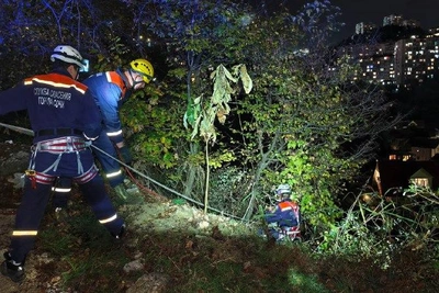 Пара в Сочи упала в овраг, спасатели эвакуировали их