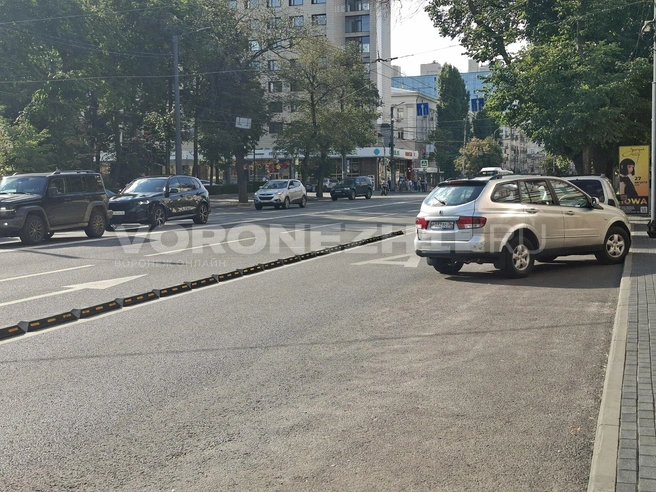 Источник: Алёна Воропаева / Voronezh1.ru