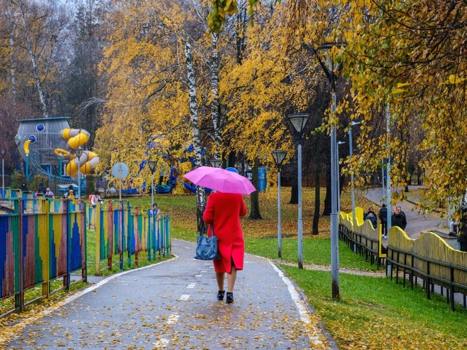 Дождливая погода установится в центральных регионах России в завершение октября. | 176.ru