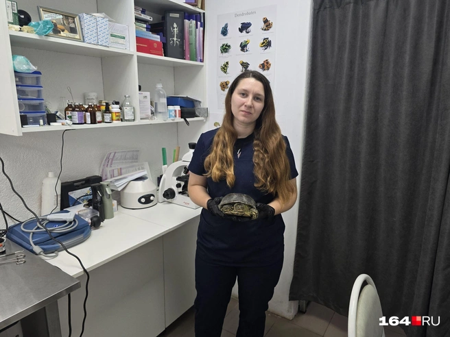 Сфотографировали Оксану Дмитриевну с прооперированной летом 2025 года черепахой Рыбкой | Источник: Семен Коротов-Майбах / 164.RU