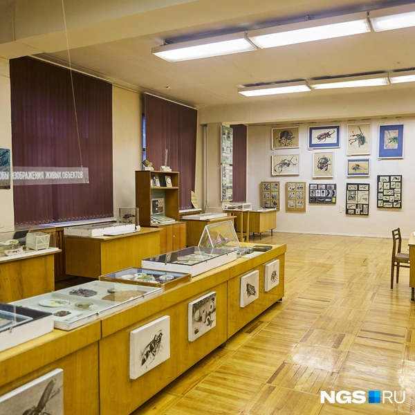 Экспозиция музея уместилась в одной комнате | Источник: Александр Ощепков / NGS.RU