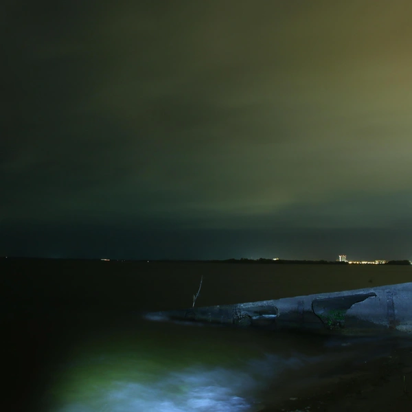 Источник: Наталья Пронина