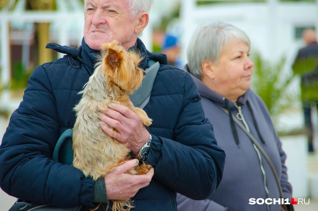 Город за новогодние каникулы планирует принять почти 500 000 гостей | Источник: Оксана Витязь
