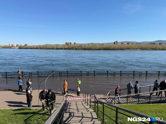 Взрослых тоже не смущает натянутое заграждение | Источник: NGS24.RU