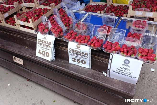 Сейчас из ягод в основном продают клубнику, кое-где реализуют остатки китайской | Источник: Даниил Конин / «ИрСити»
