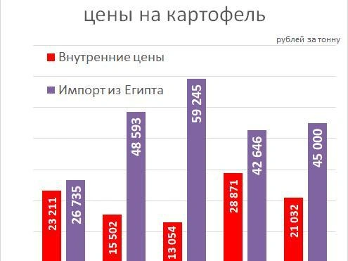 Изменение оптовых цен на российский и импортный картофель | Источник: «Фонтанка.ру»