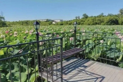 Сквер с лотосами благоустраивают в Прогрессе
