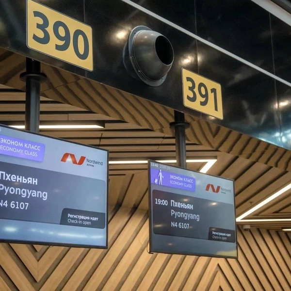 Источник: t.me/svo_online