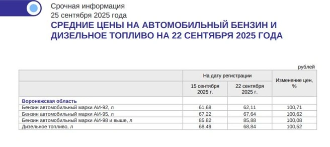 Источник: Воронежстат / 36.rosstat.gov.ru