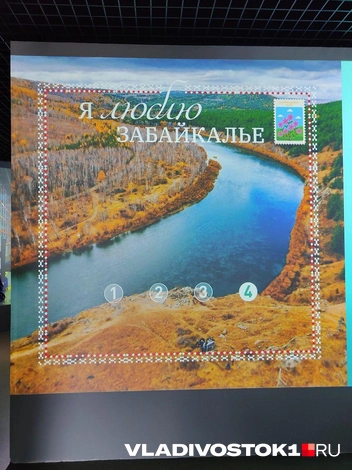 Источник: Татьяна Акишина / VLADIVOSTOK1.RU