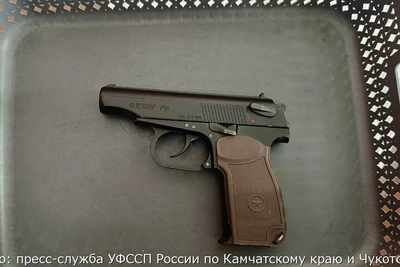 Мужчина из Паратунки с пистолетом у пристава лишился телефона