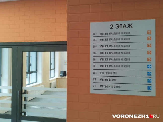 Источник: Дмитрий Волгин / Voronezh1.ru