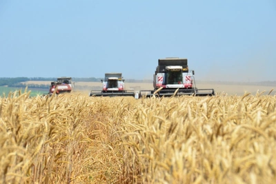 Экспорт продукции АПК Томской области вырос на 66%