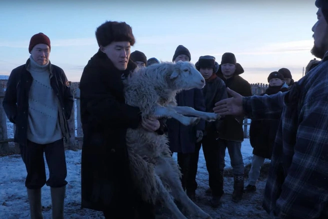 Видео «Слово чабана. Кровь в колбасе» набрало миллион просмотров за два дня