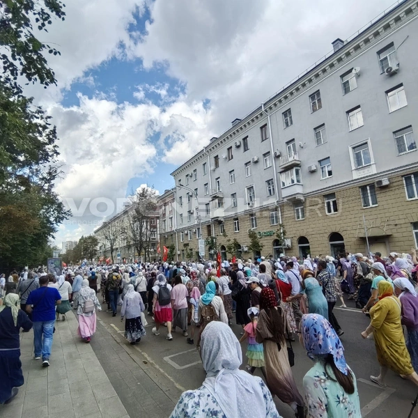 Источник: Андрей Пашинский / Voronezh1.ru