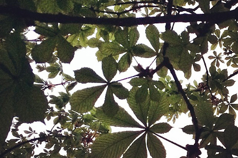 Источник: Instagram (запрещенная в России экстремистская организация) Марии Штерн