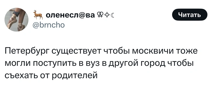 Источник: X (Twitter)