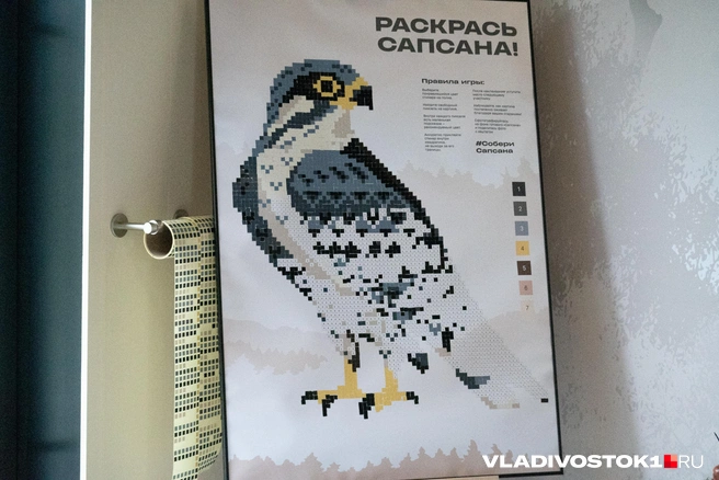 Источник: Елена Буйвол / VLADIVOSTOK1.RU