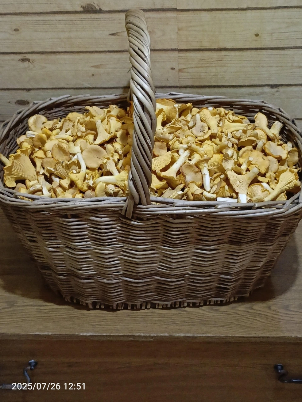 Такую корзину удалось собрать вдвоем в костромском направлении | Источник: Андрей Бойцов, Грибы Ярославской области / Vk.com