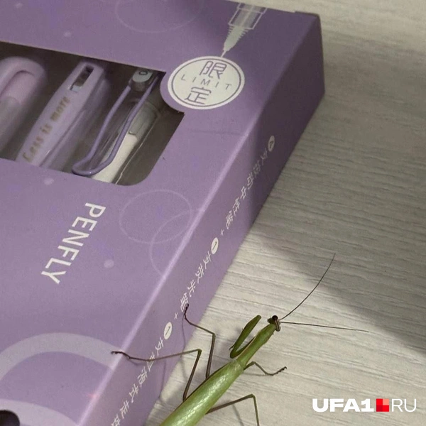 Источник: Читатель UFA1.RU