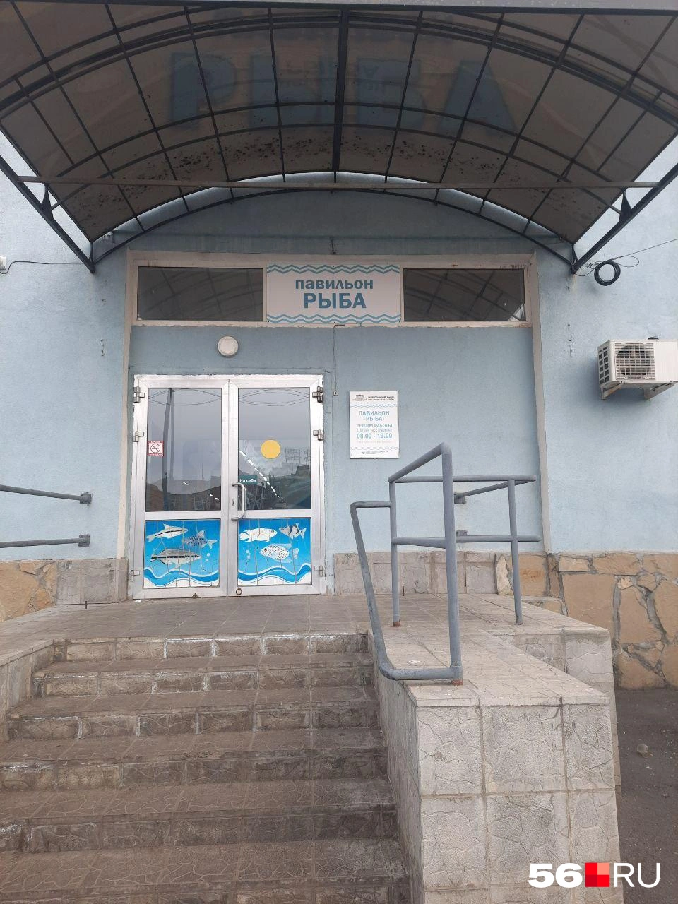 Рыбный павильон | Источник: Анастасия Баринова / 56.RU