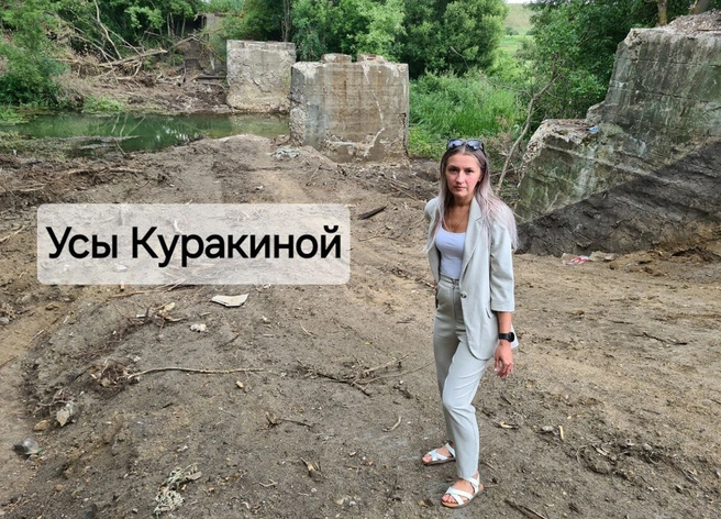 В Скопине украли железнодорожный мост | ya62.ru