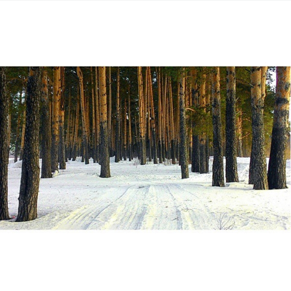 Зима 2016: завораживающие фото природы