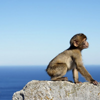 Аватарка Настенька