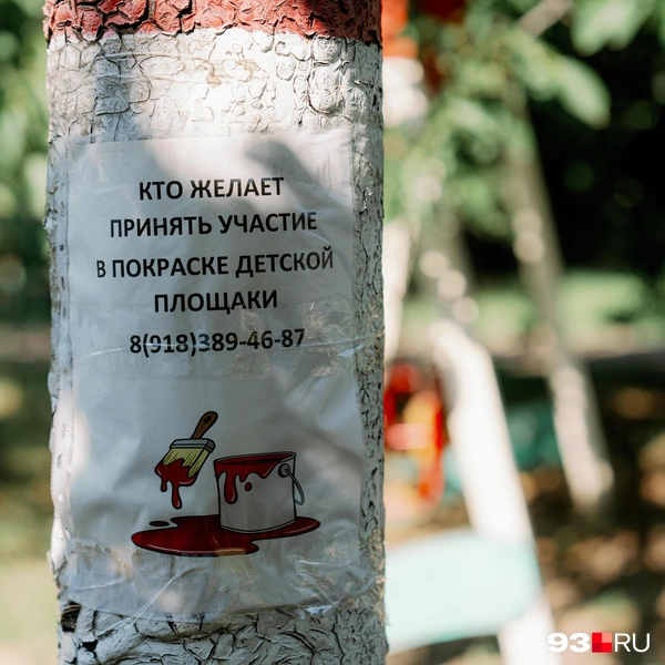 Источник: Дарья Паращенко / 93.RU
