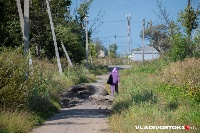 Источник: Елена Буйвол / VLADIVOSTOK1.RU