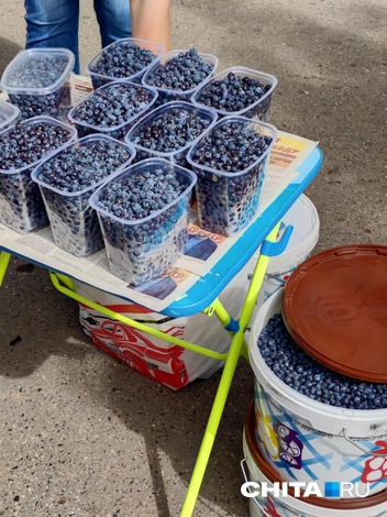 Перед покупкой ягодку предлагают попробовать  | Источник: Дарья Кливенкова / CHITA.RU