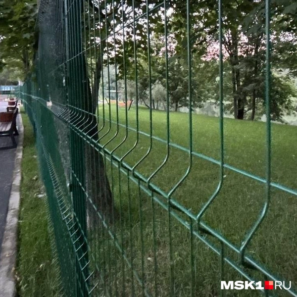 Вдоль парка установили заборы | Источник: читательница MSK1.RU
