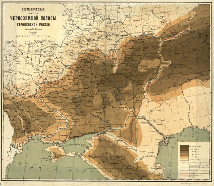 Черноземы: где и как образуются самые плодородные почвы России