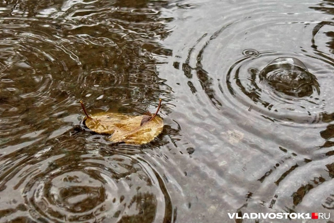 Узнали, где появились первые «реки» и водопады | Источник: Елена Буйвол / VLADIVOSTOK1.RU