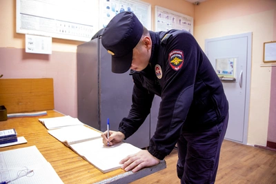 Полиция: иностранцы не влияют на криминогенность в Приамурье