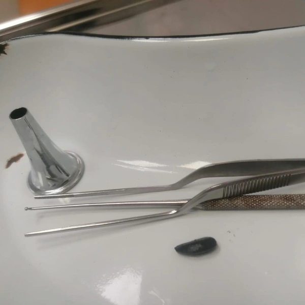 Источник: Ганеева Эльвира