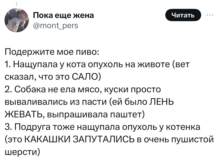 В «Твиттере» делятся тупыми причинами, по которым возили животных в ветеринарные клиники. И это уморительно!