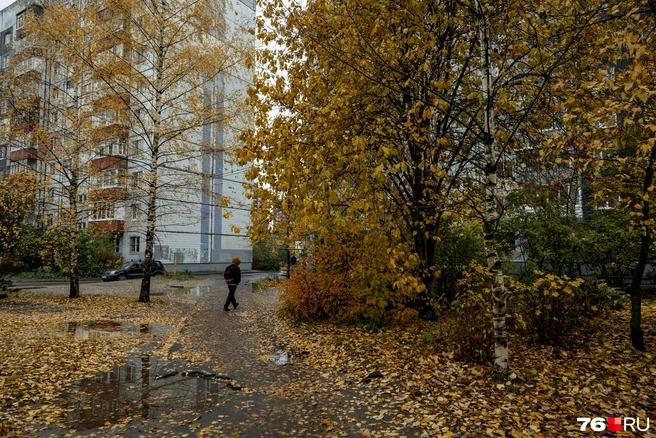 Кажется, на этот кадр опрокинули баночку оранжевой краски | Источник: Александр Куренной / 76.RU